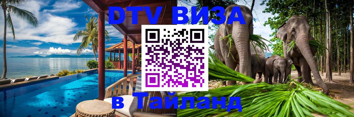 Оформление DTV визы под ключ: стоимость и тарифы, только загранпаспорт - 20.11.2025 